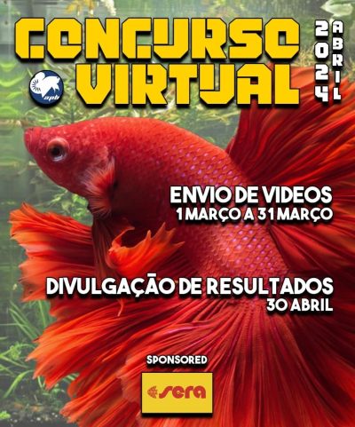 Concurso Virtual